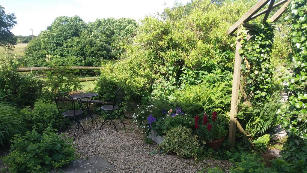 Rectory Farm Bed & Breakfast Haverfordwest Luaran gambar